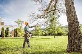 How Our Tree Care Process Works  in  Wildwood Crest, NJ